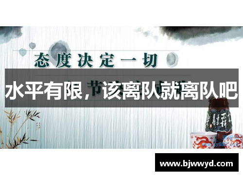 水平有限，该离队就离队吧